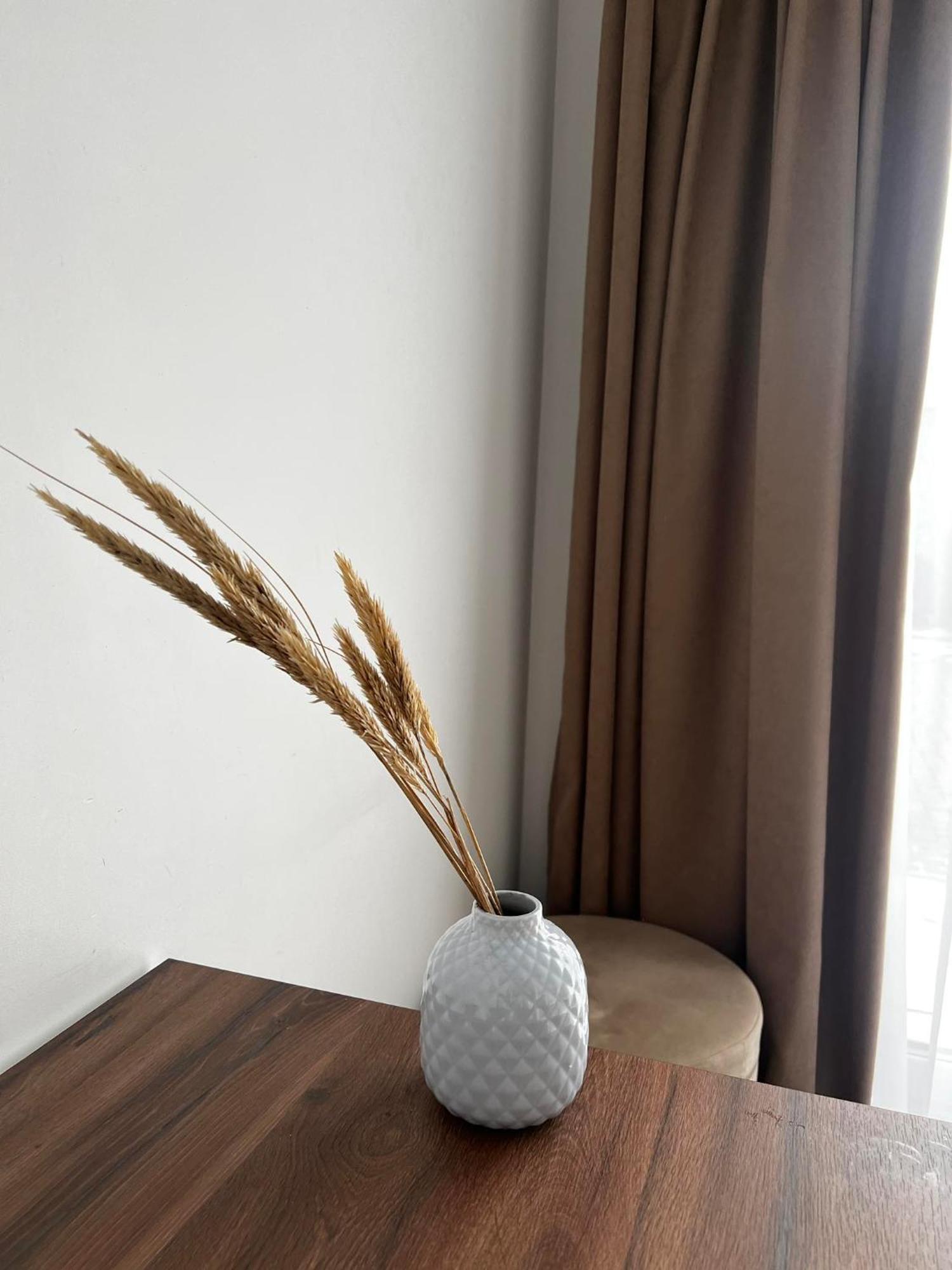 Izabeles Apartamentai 帕兰加 外观 照片